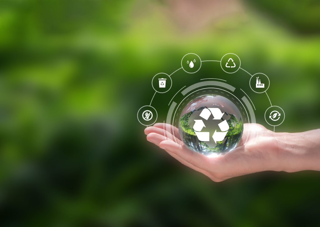 Net Zero Consultancy