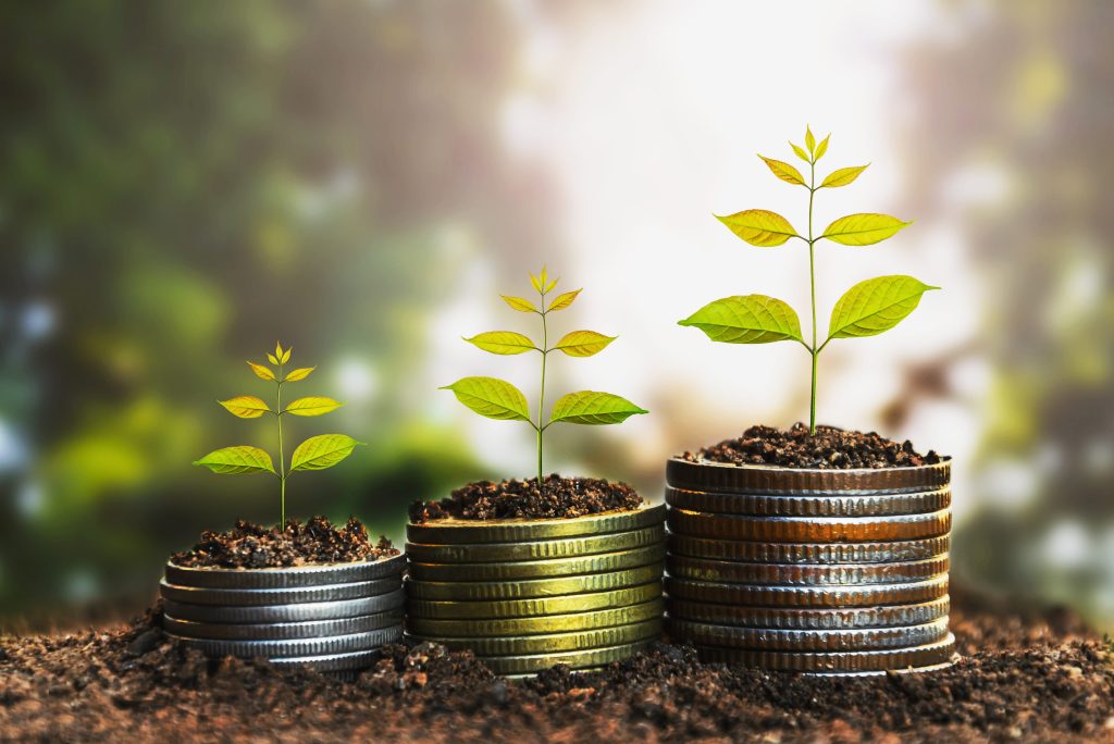 green accounting